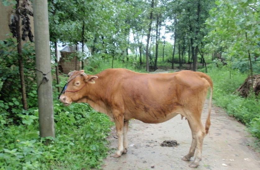 天津最新求一个套医保卡的黄牛是真的吗方法分析(最方便真实的天津求一个套医保卡的黄牛是真的吗还是假的方法)